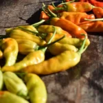 The Ultimate Homemade Chili Recipe That Comforts, Satisfies, and Wins Every Time