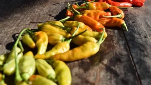 The Ultimate Homemade Chili Recipe That Comforts, Satisfies, and Wins Every Time